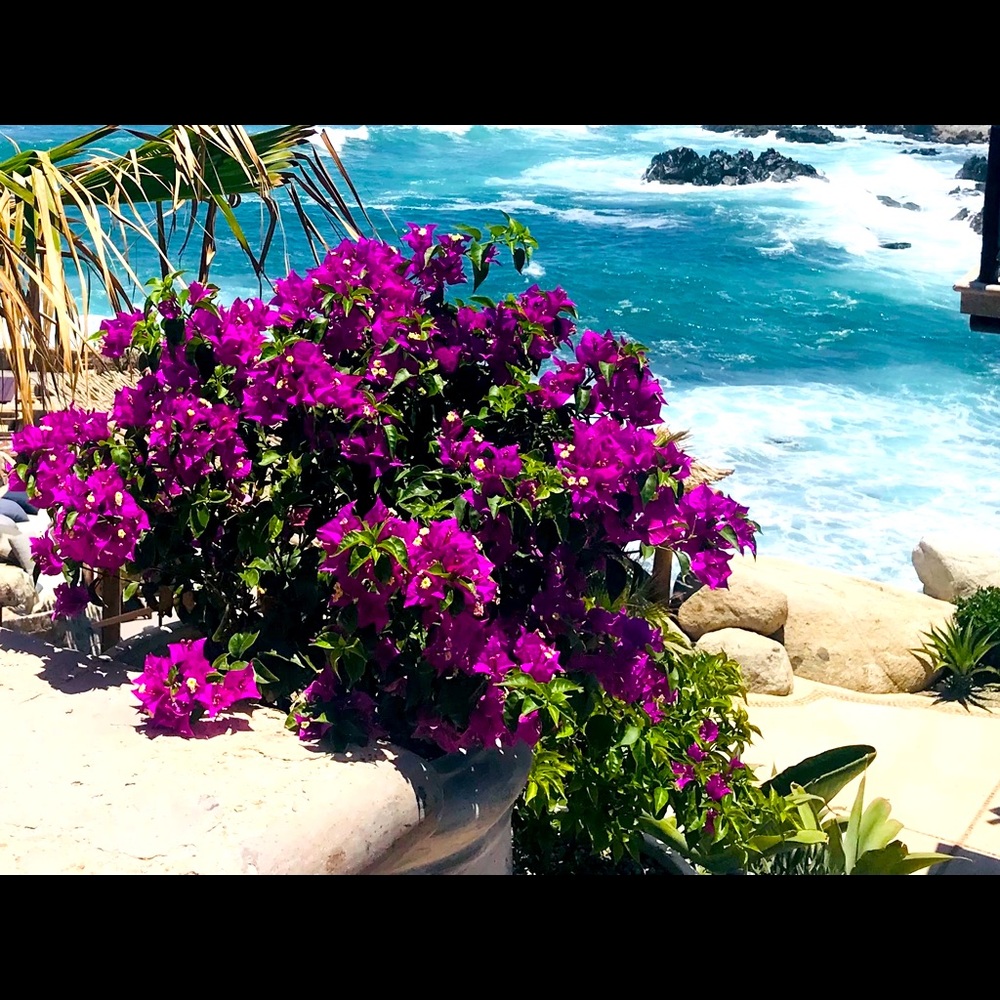 Meet your Posher, Diane